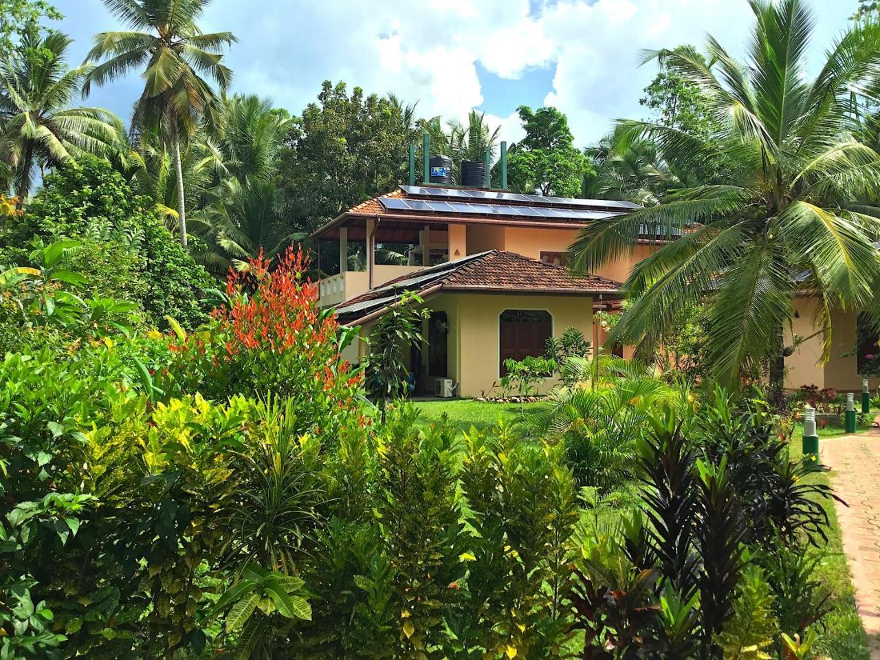 King Coconut Lodge Habaraduwa Central Exterior foto